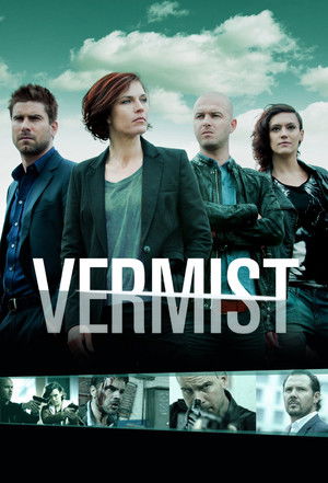 Vermist poszter