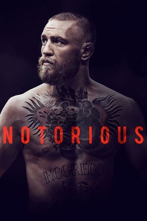 A jól ismert Conor McGregor poszter