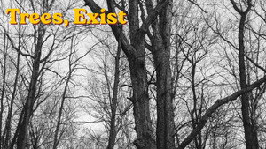 Trees, exist háttérkép