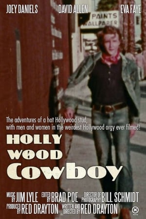 Hollywood Cowboy poszter