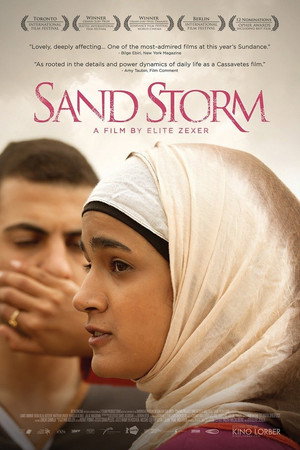 Homokvihar poszter