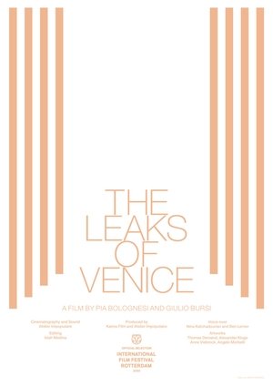 The Leaks of Venice