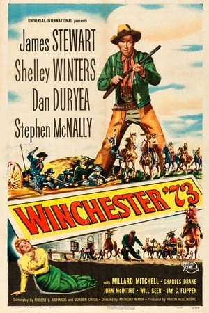 A 73-as winchester poszter