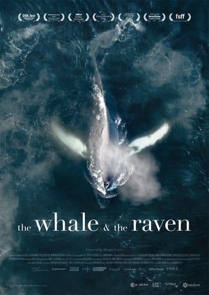 The Whale and the Raven poszter