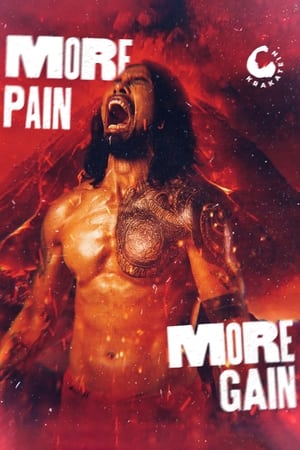 MORE PAIN MORE GAIN poszter