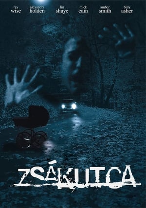 Zsákutca poszter