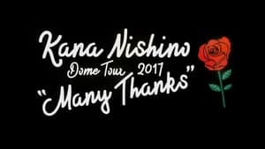 Kana Nishino Dome Tour 2017 Many Thanks háttérkép