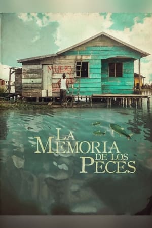 La memoria de los peces poszter