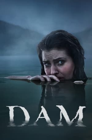 Dam