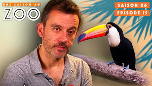 Une saison au zoo Season 6 Ep.15 15. epizód