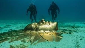 Treasures from the Wreck of the Unbelievable háttérkép