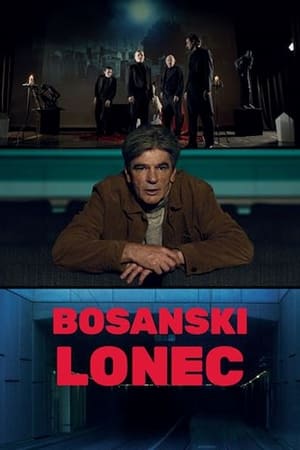 Bosanski lonac poszter