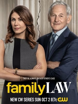 Family Law poszter