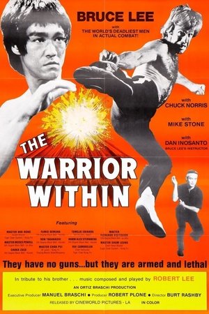 The Warrior Within poszter