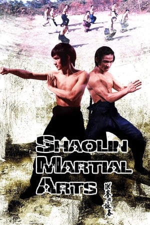 Shaolin Martial Arts poszter