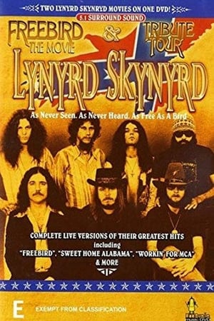 Lynyrd Skynyrd: Freebird... The Movie poszter