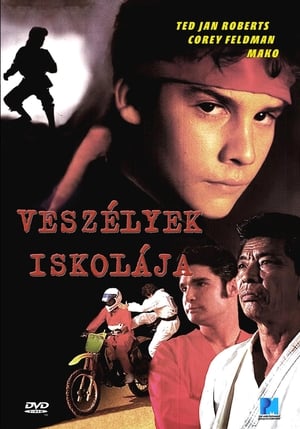 Veszélyek iskolája poszter