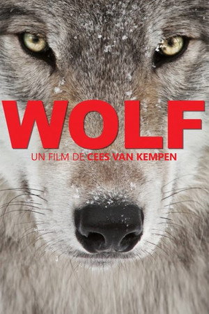 Wolf poszter