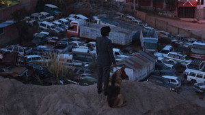 El Ladrón de Perros háttérkép