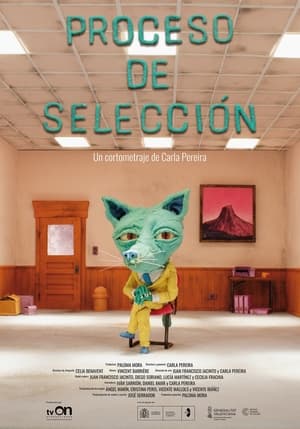 Proceso de selección