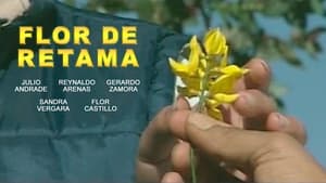 Flor de Retama háttérkép