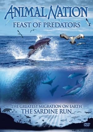 Feast of Predators poszter