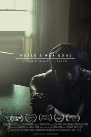 While I Was Gone poszter