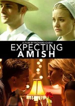 Expecting Amish poszter