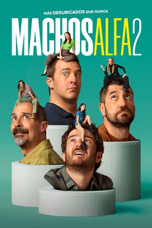 Alfahímek poszter