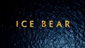 Polar Bears: Ice Bear háttérkép