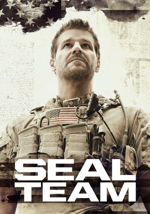 SEAL Team poszter