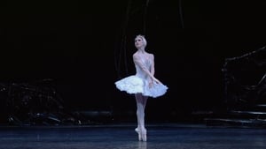 The ROH Live: Swan Lake háttérkép