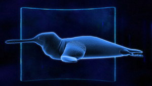 The Future Is Wild kép
