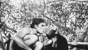 Tarzan and the Valley of Gold háttérkép