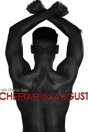 Cheetah in August poszter