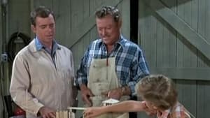 Mayberry R.F.D. Season 3 Ep.14 14. epizód