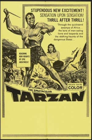 Tarzan és a sellők poszter