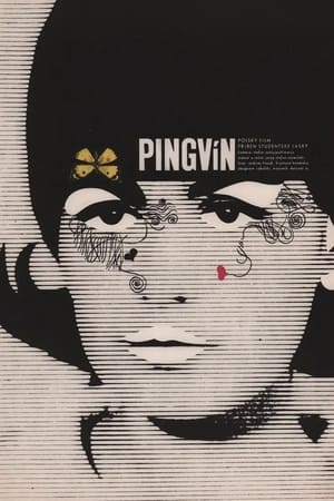 Pingwin poszter