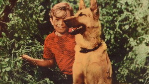 A Dog's Best Friend háttérkép