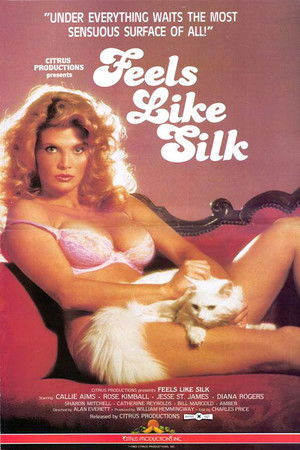 Feels Like Silk poszter