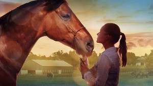 A Horse Tale háttérkép