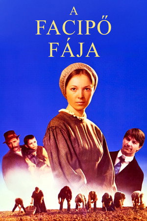 A facipő fája