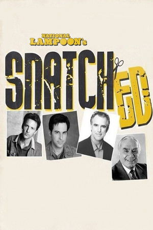 National Lampoon's Snatched poszter