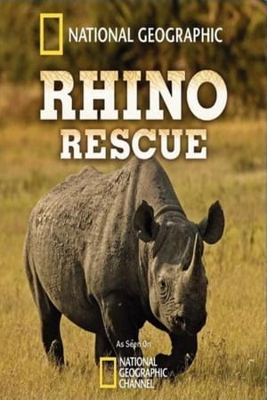 Rhino Rescue poszter