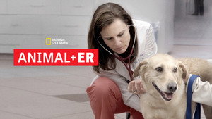 Animal ER kép