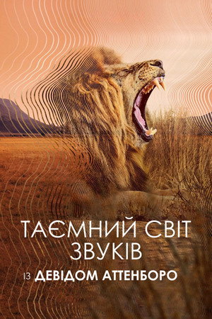 David Attenborough: A hangok titokzatos világa poszter