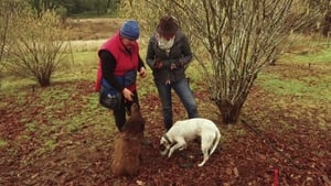 Gardening Australia Season 28 Ep.26 26. epizód