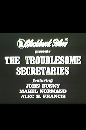 Troublesome Secretaries poszter