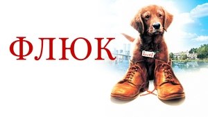 Kutyavilág háttérkép