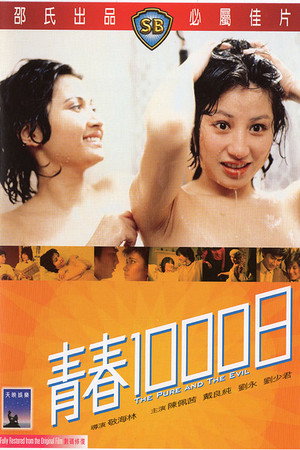 青春1000日 poszter